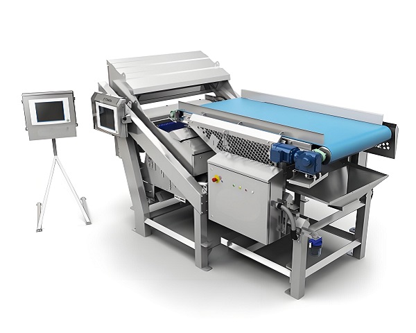 Optical Sorting Machine